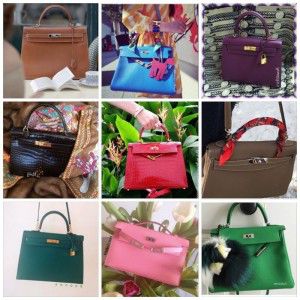 Part II: The Hermes Learning Process - PurseBop