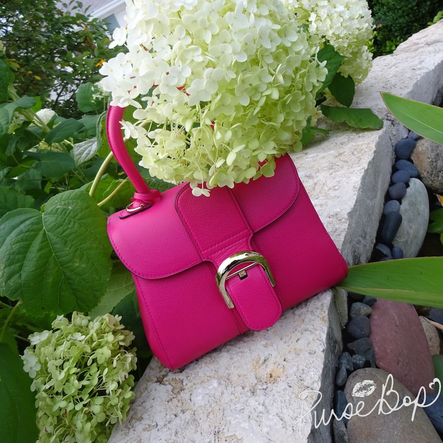 Brillant leather mini bag Delvaux Pink in Leather - 32515459