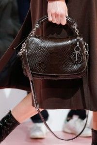 Dior Dune Bag Reference Guide