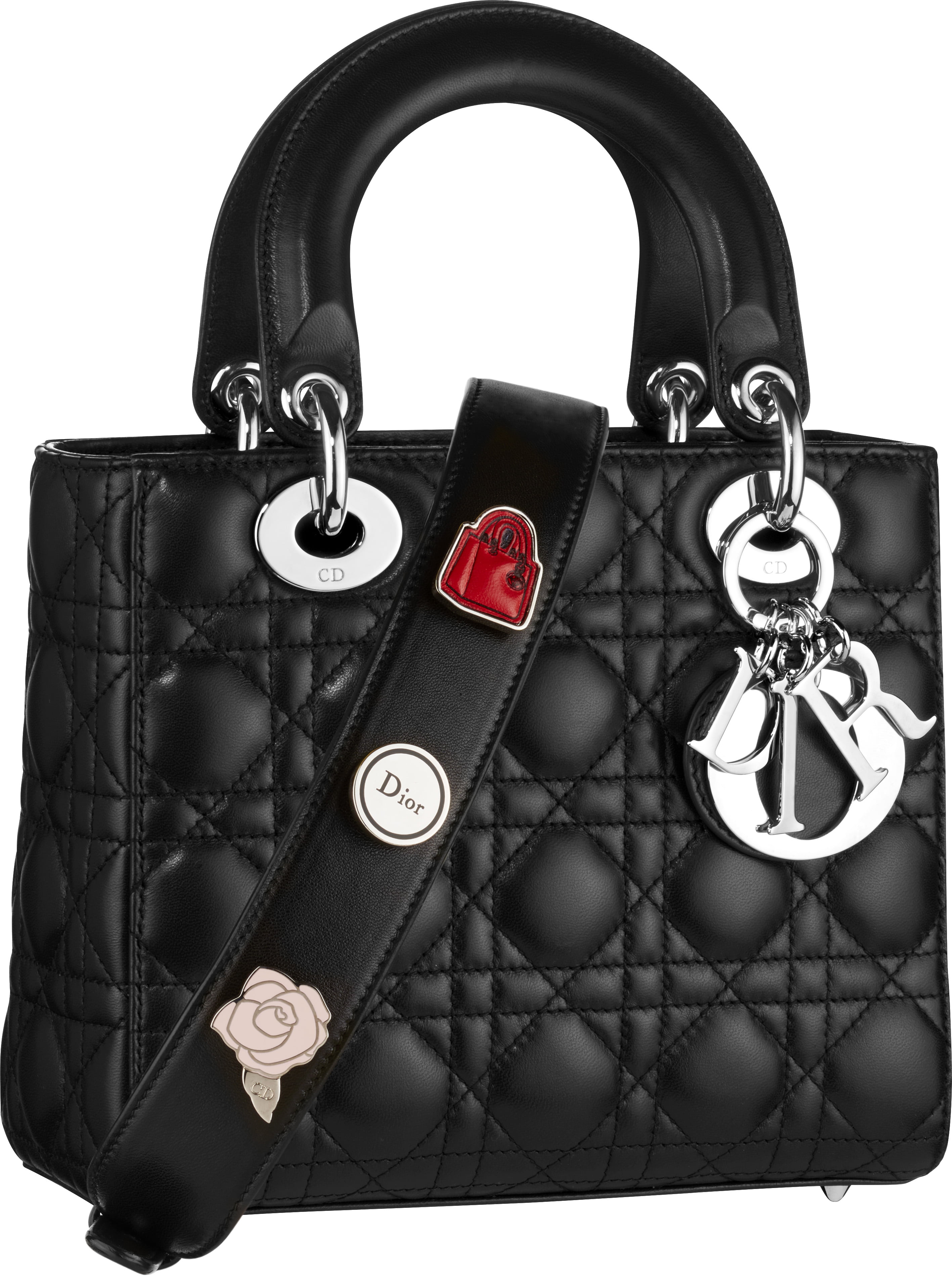 Pin on Dior women's bag