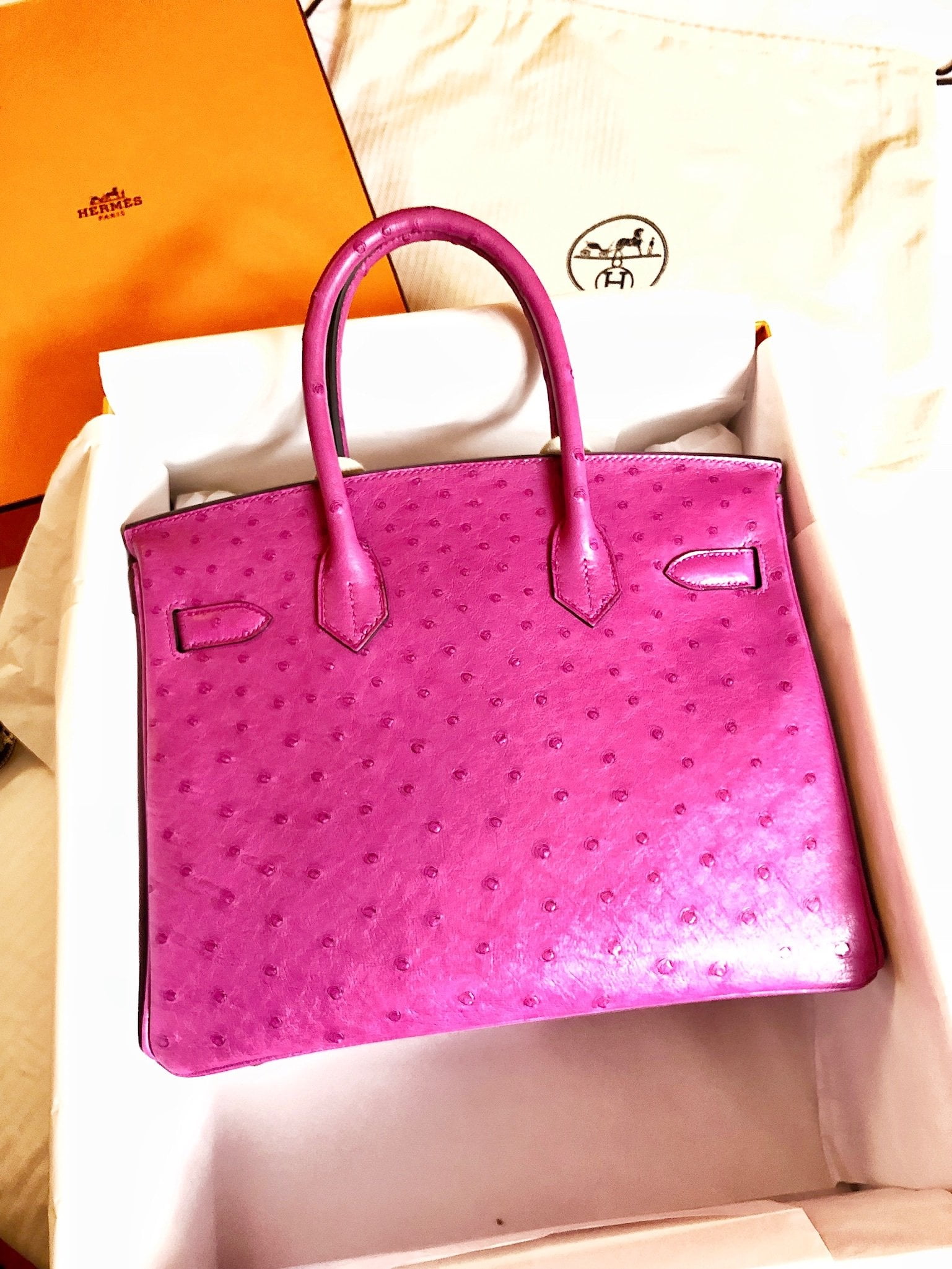 PurseBop Reveals the Hermès Birthday Birdie Birkin - PurseBop