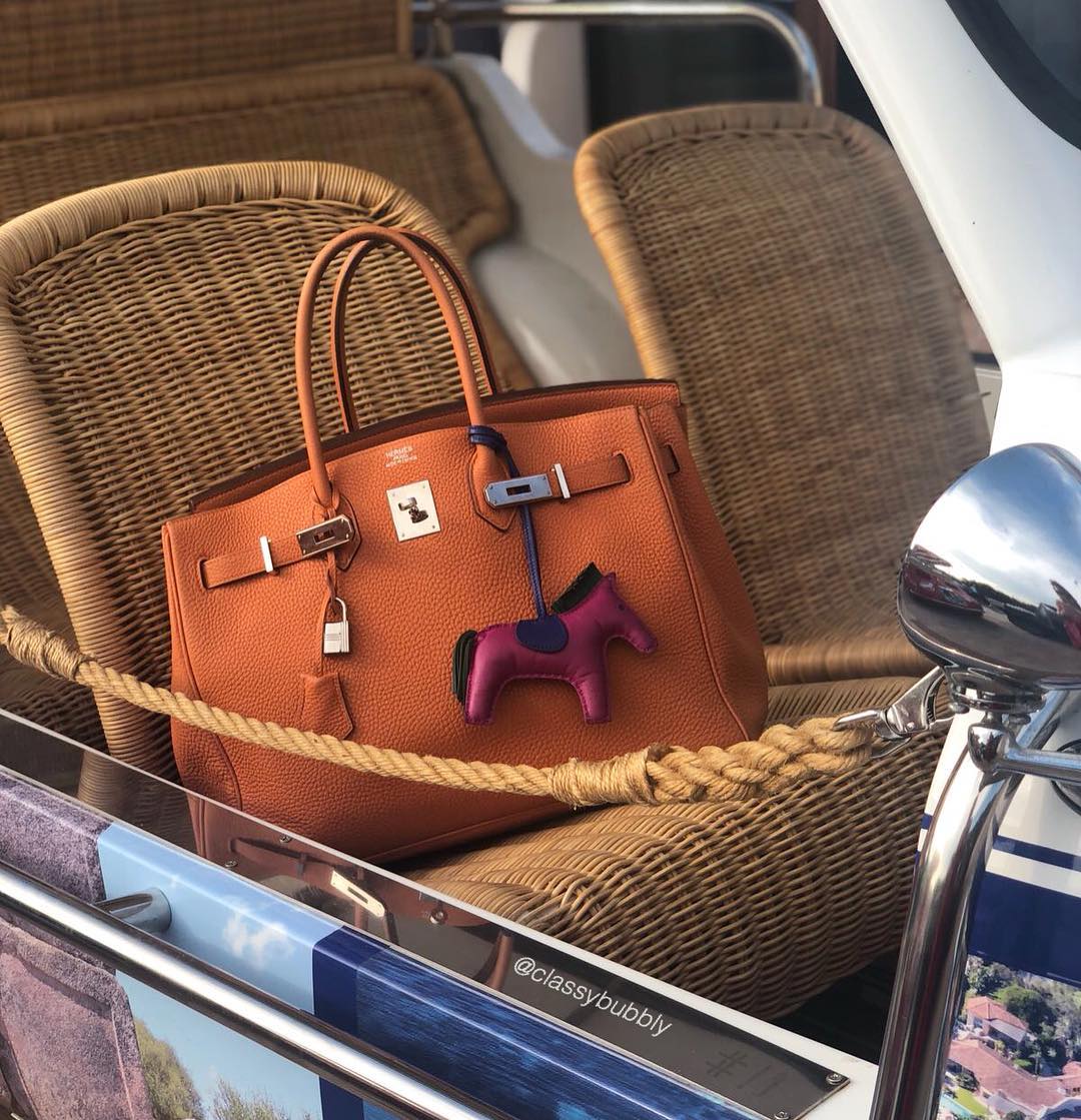 Ode to the Birkin 35 - PurseBop