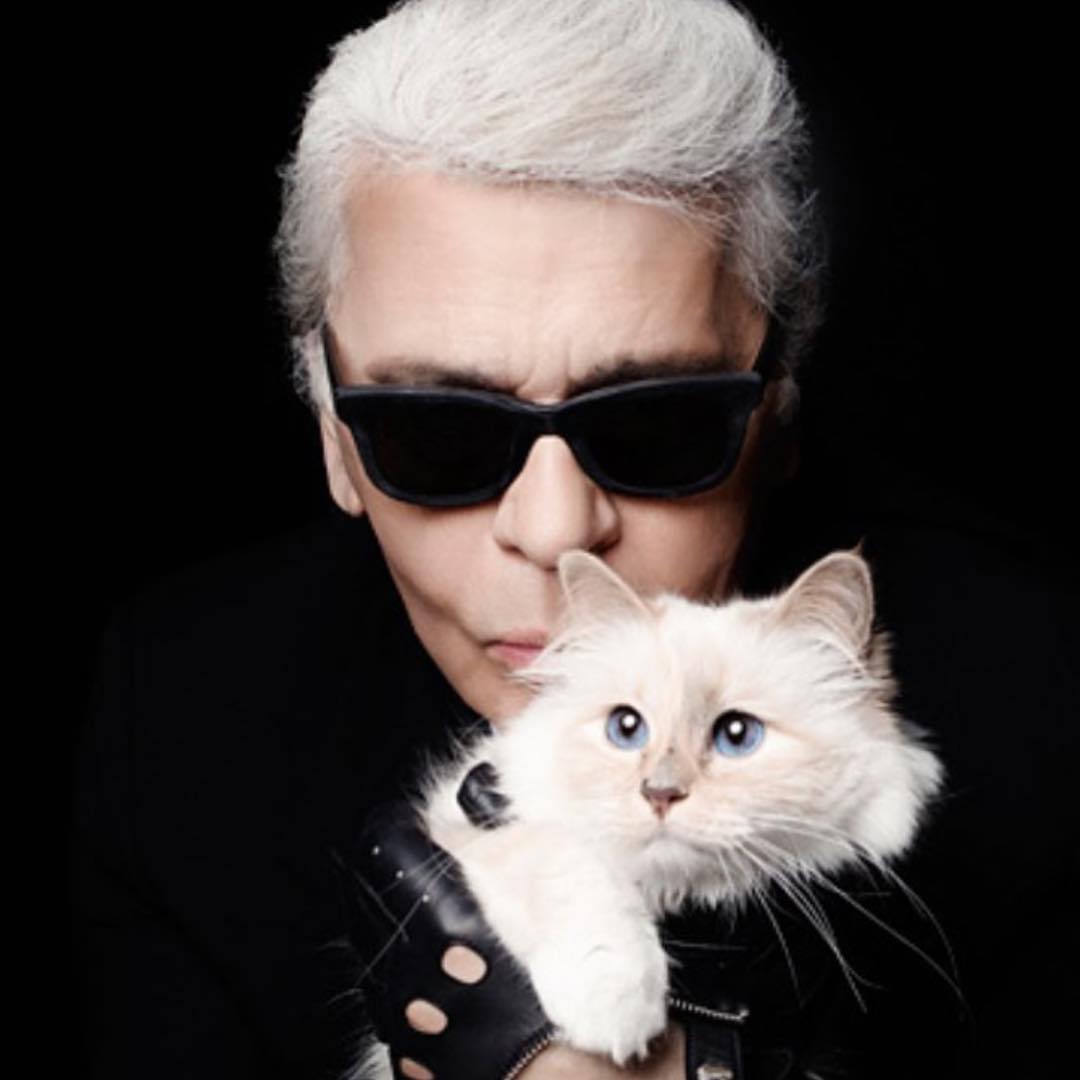 Lagerfeld's Cat, Choupette, Set to Inherit a Fortune - PurseBop