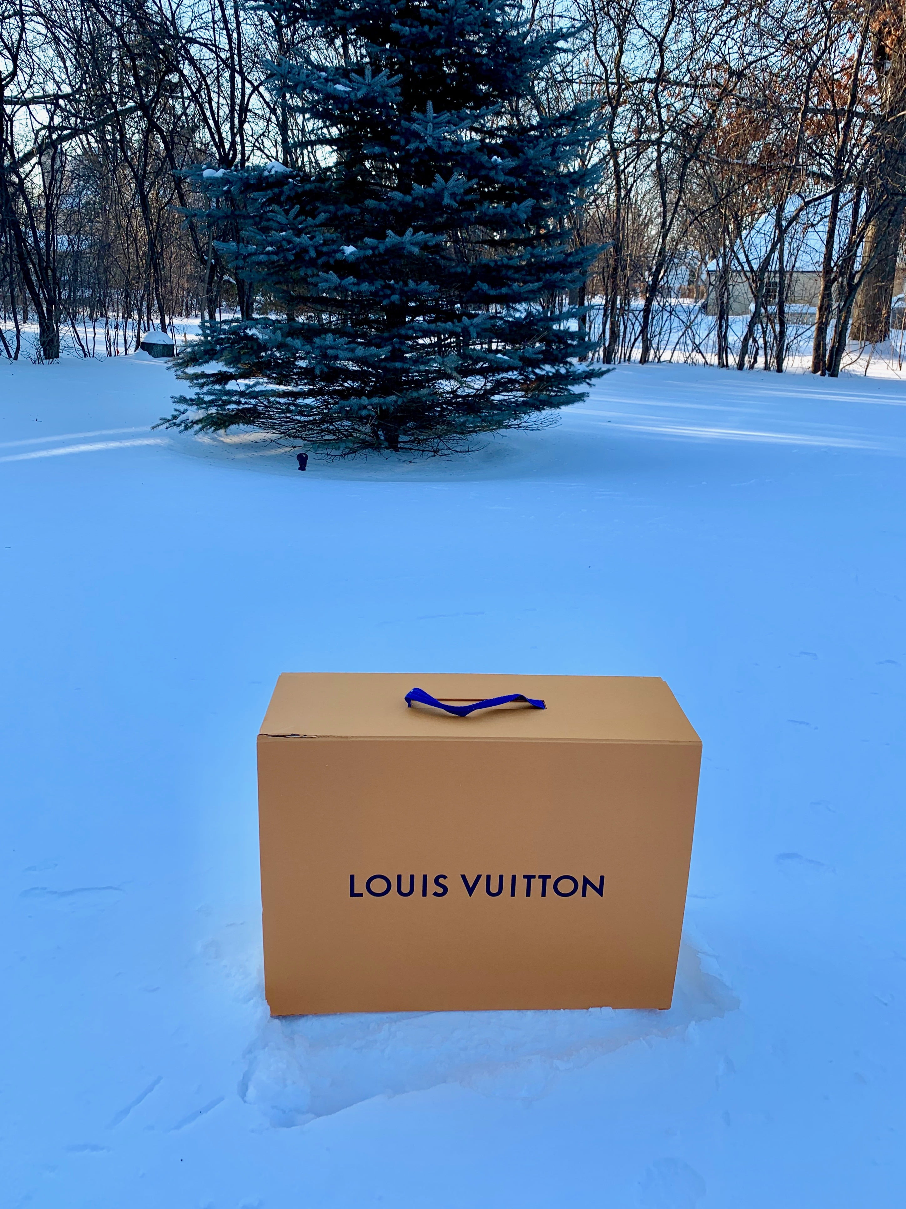 Louis Vuitton Virgil Prism Keepall. What I think about this bag