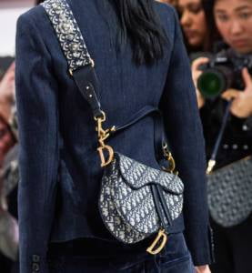 Dior Continues with Saddles, Book Totes, Logos and More for Fall/Winter ...