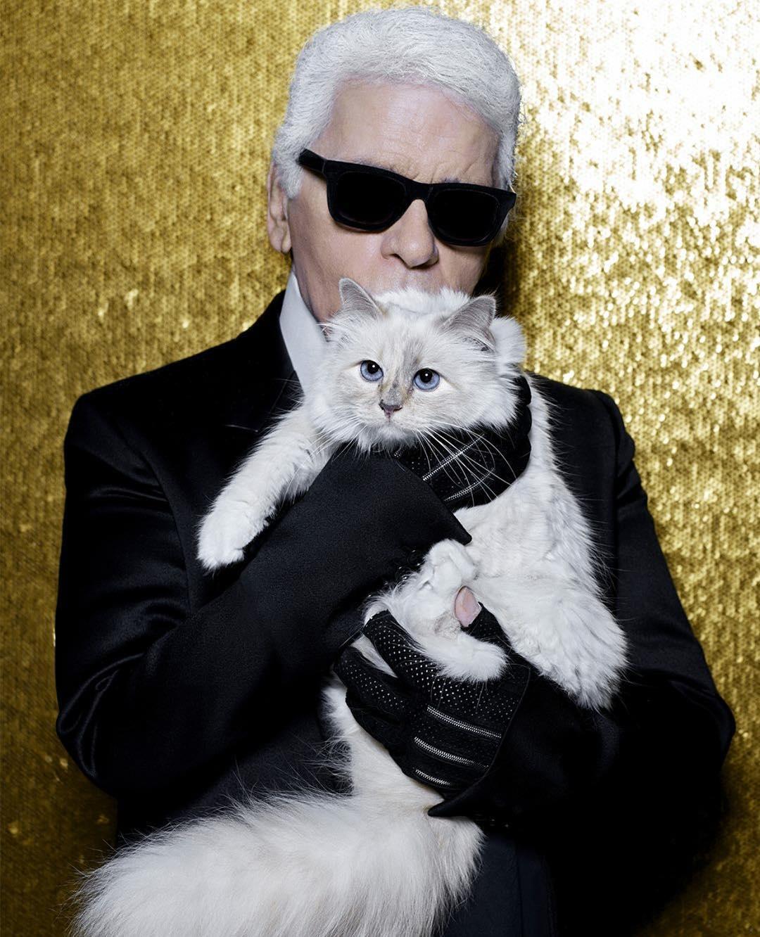 Karl Lagerfeld, Beloved Chanel Couturier, Dies at 85 - PurseBop