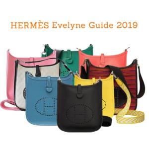sizes of hermes evelyne bag