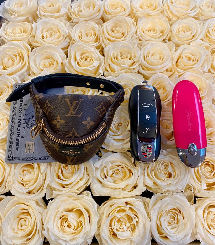 Louis Vuitton Monogram Party Palm Springs Bracelet