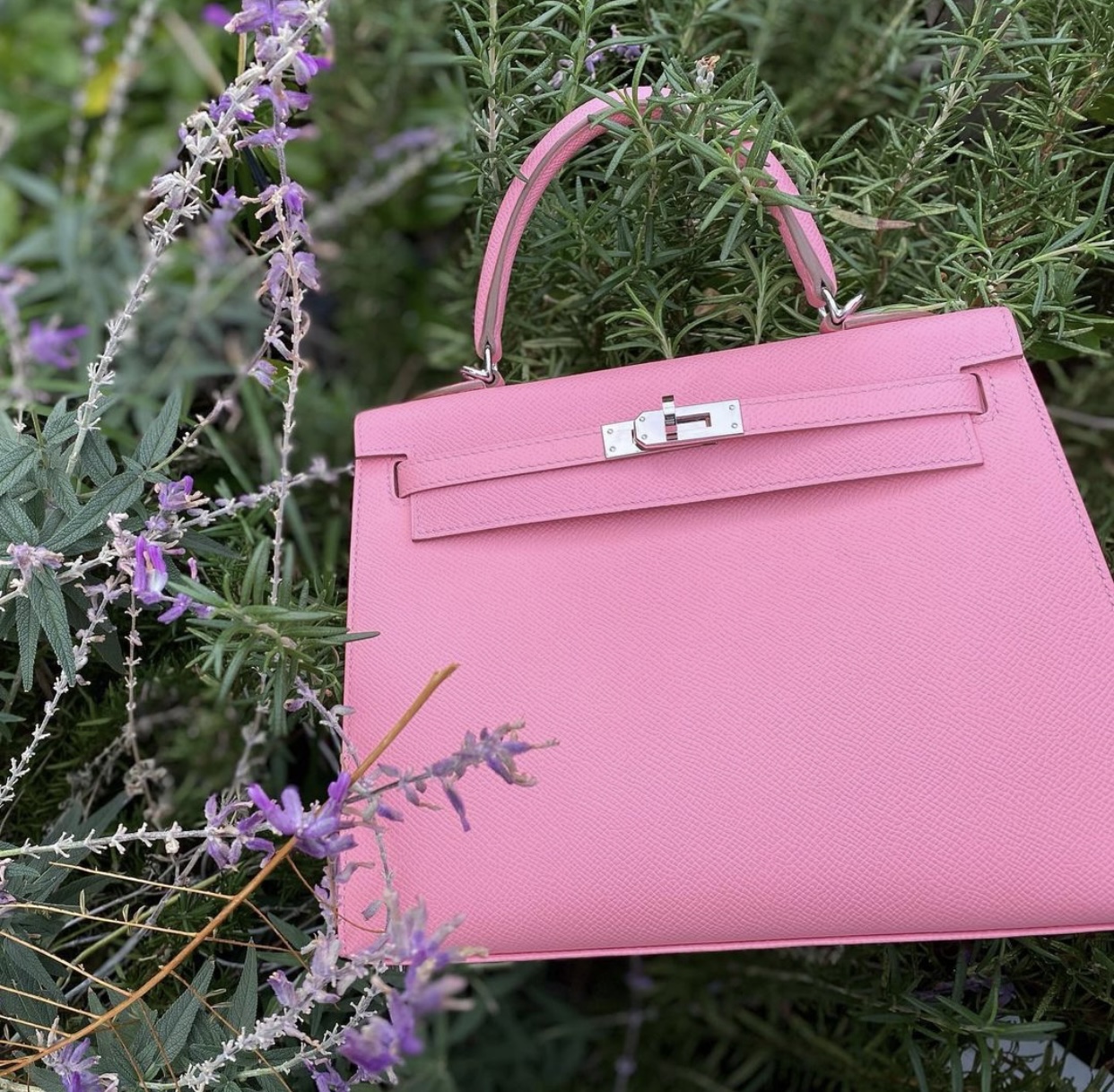 Spring look~Rose eglantine outfit with etoupe grey birkin 25