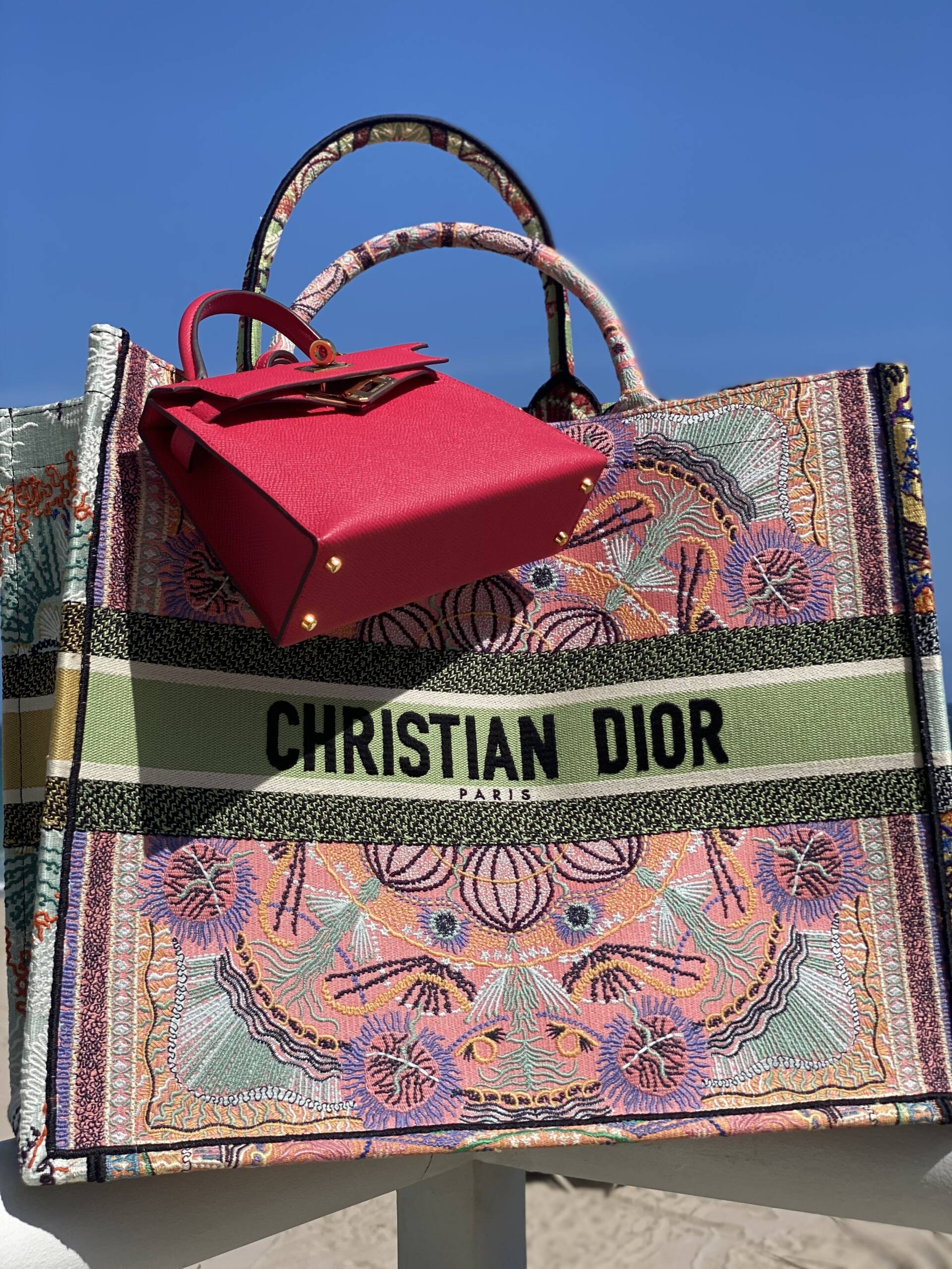 New Season Dior Book Tote Bags To Fall In Love With - BAGAHOLICBOY