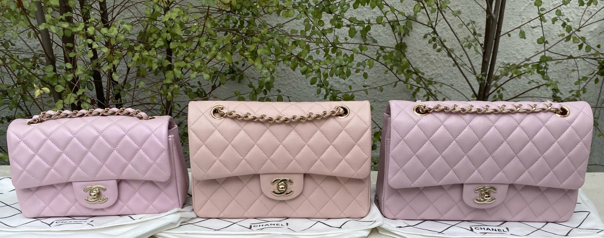 This is the Year of the Perfect Pink Chanel Classic Flap - PurseBop