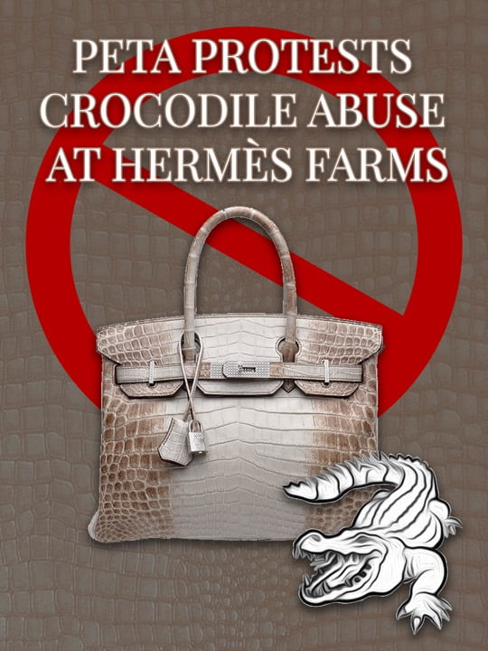 PETA Calls on Hermès to Stop Using Crocodile in Honor of Jane