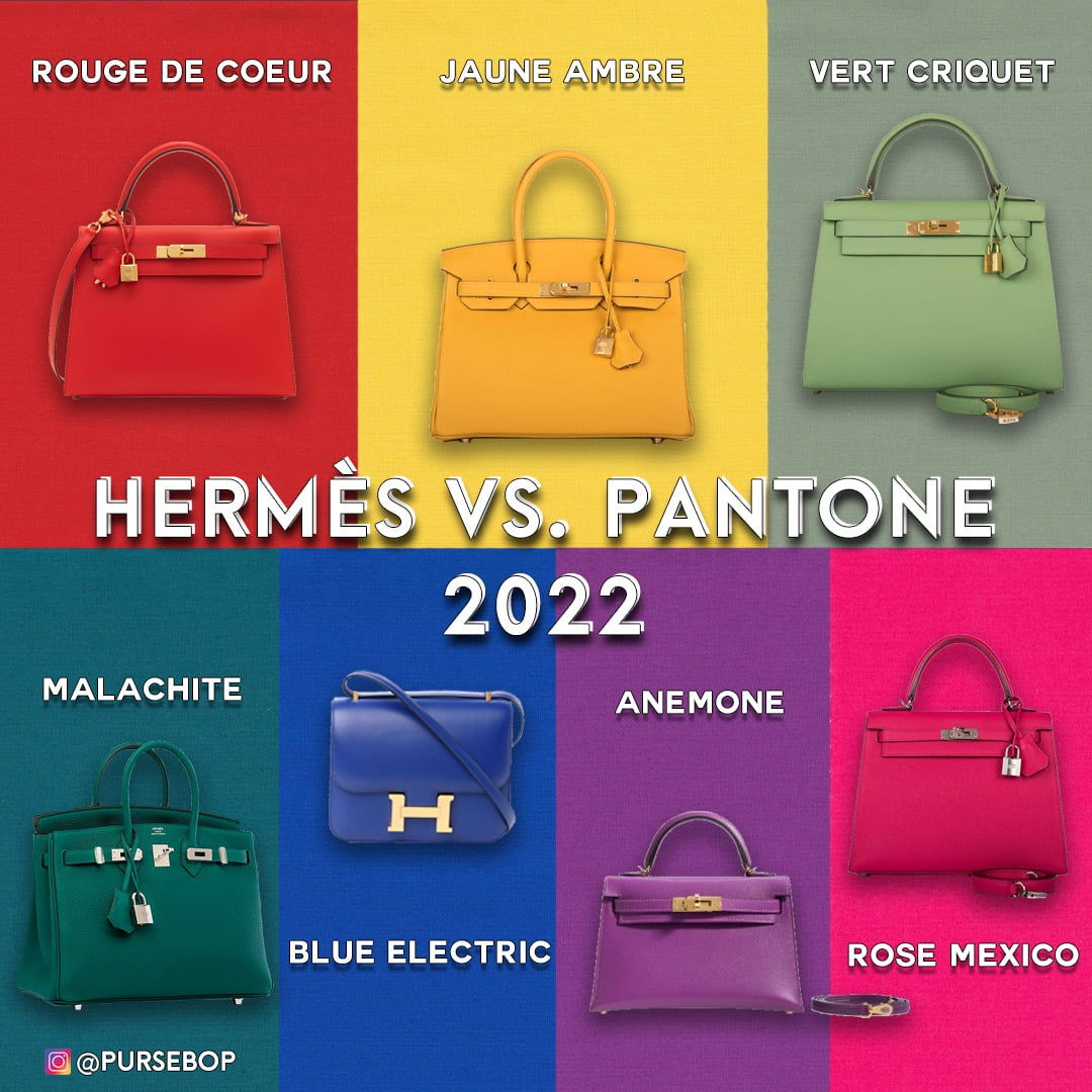 Hermes- The Color Expert! - PurseBop
