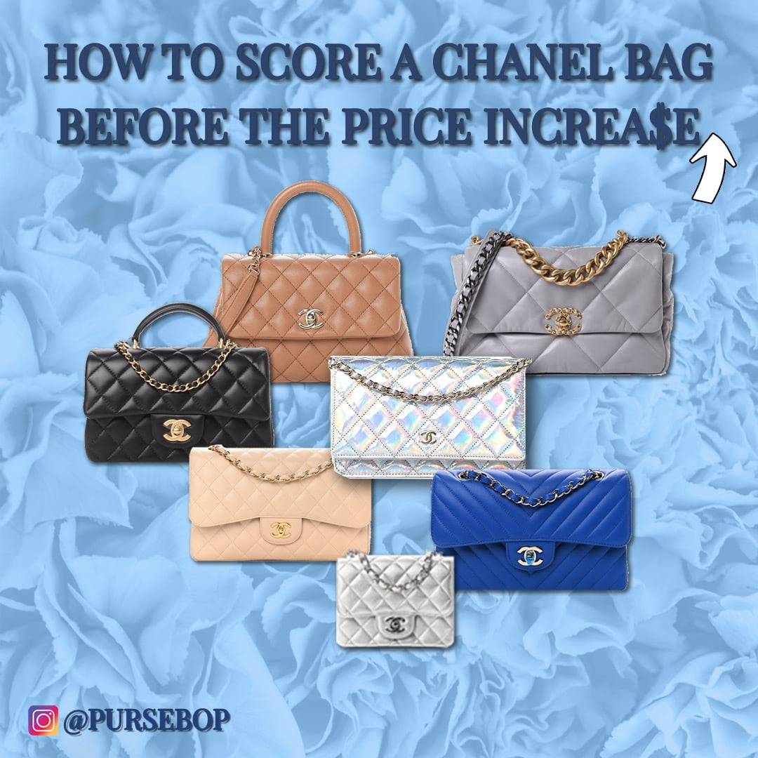 Chanel Price Increases Push the Birkin Premium Down - PurseBop