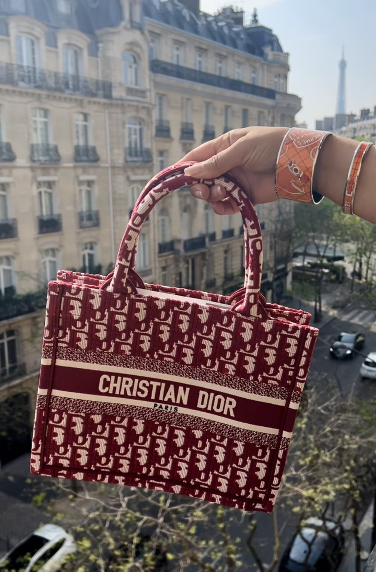 Dior Book Tote (pictures only)