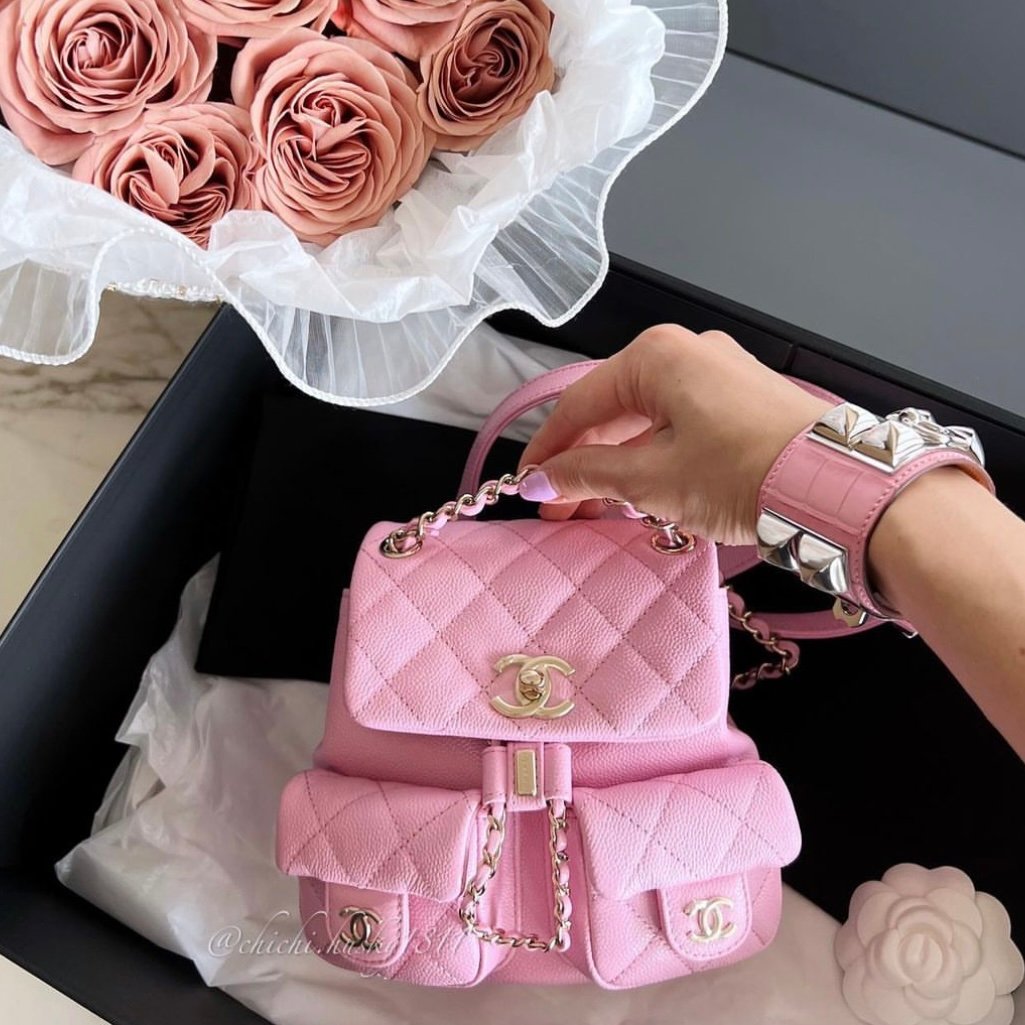 NEW CHANEL BAGS WORTH IT?  Chanel 22 mini, 31 mini, duma backpack, 22  backpack w price worth it? 