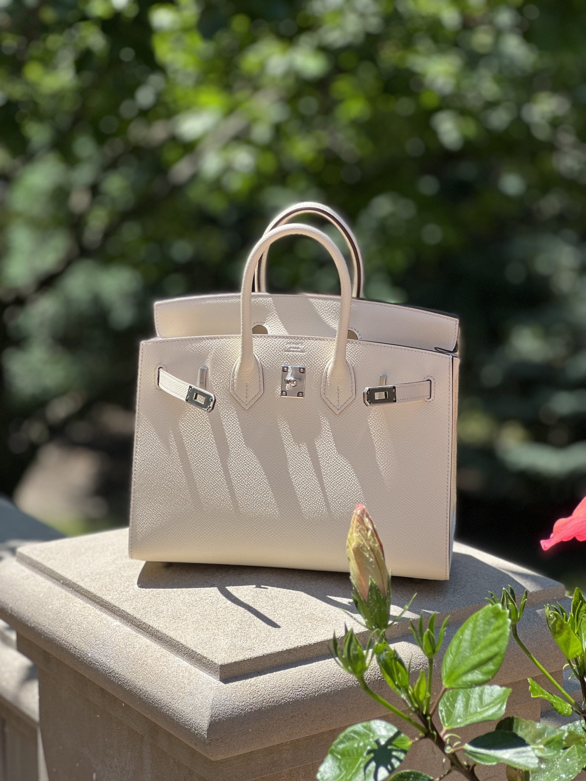 What Is A Birkin Bag?, Find Out Here, myGemma