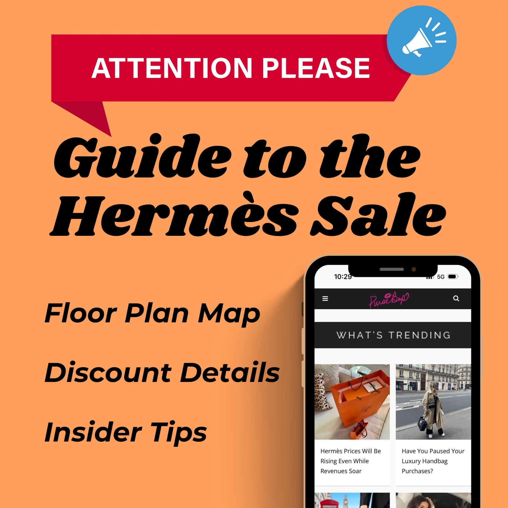 What is your latest Hermes purchase?, Page 2769