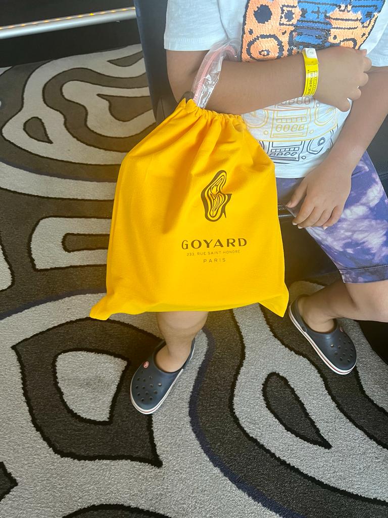 what's in my goyard bag? a lot! #goyard #goyardanjoumini