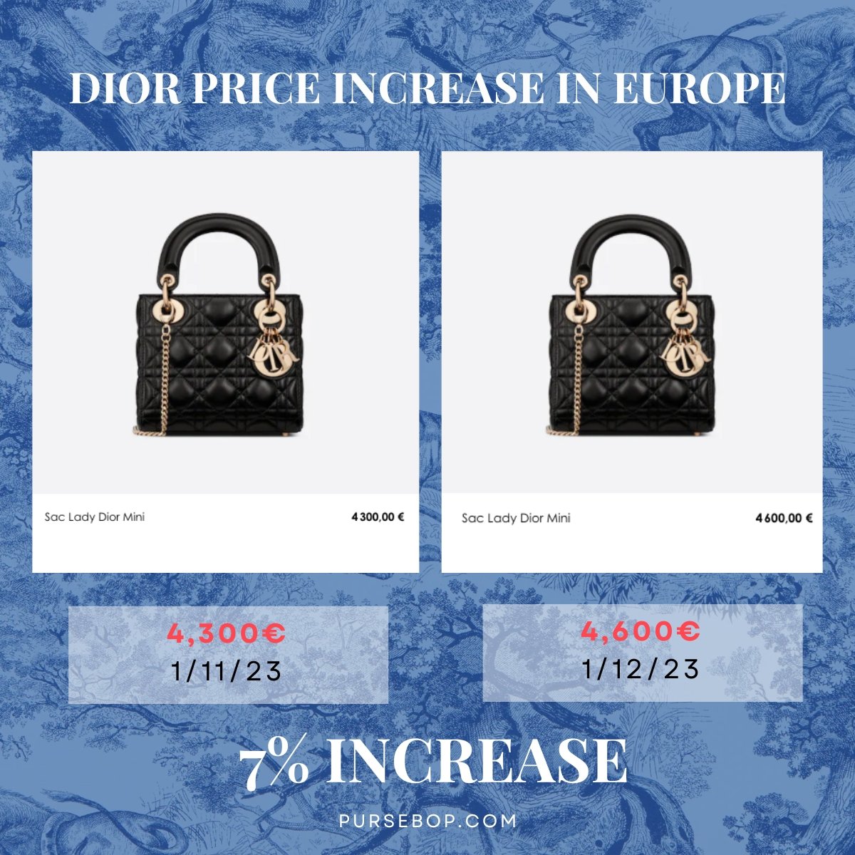 Dior Bag Prices