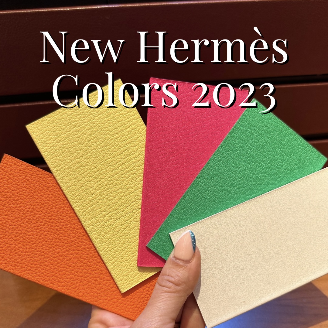 New Hermès Colors 2023 PurseBop