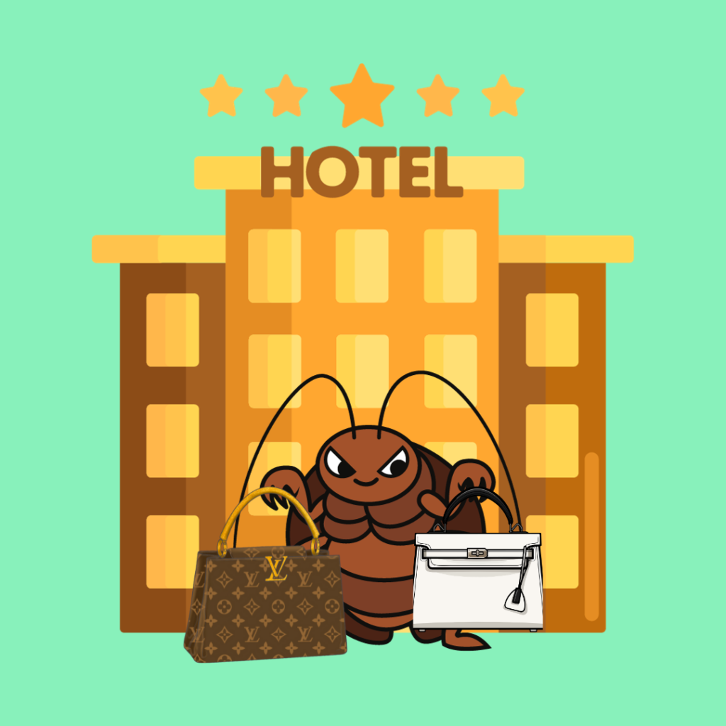 can-bed-bugs-live-inside-your-handbag-pursebop