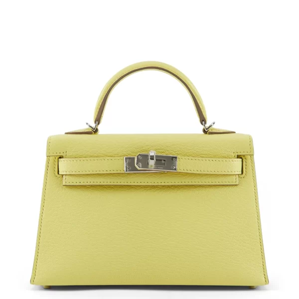 The Hermes Mini Kelly is Back! - PurseBop