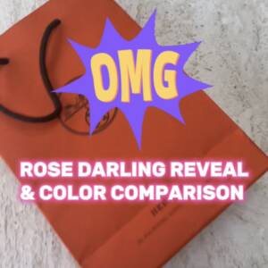 Here's the Latest Hermès Color Rose Darling Up Close and Personal | hermes rose darling | hermes pinks | new hermes colors 2024