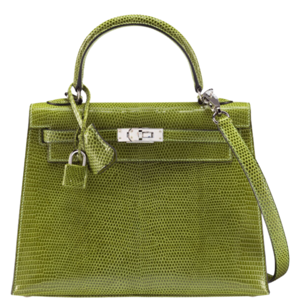 Hermès 25cm Vert Anis Niloticus Lizard Kelly Sellier