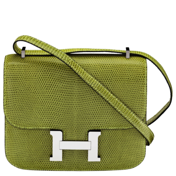 Hermès 18cm Vert Anis Niloticus Lizard Mini Constance