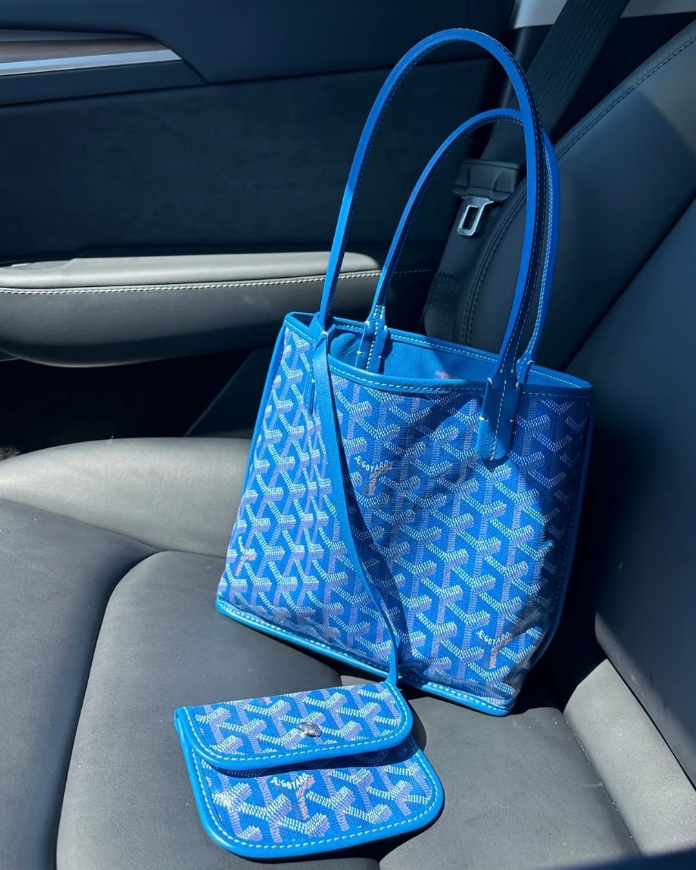 Goyard Mini Anjou Tote Blue