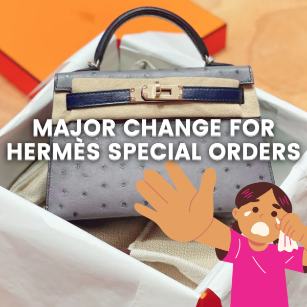 HERMES SPECIAL ORDER 2025 | NO OSTRICH 2025 HERMES