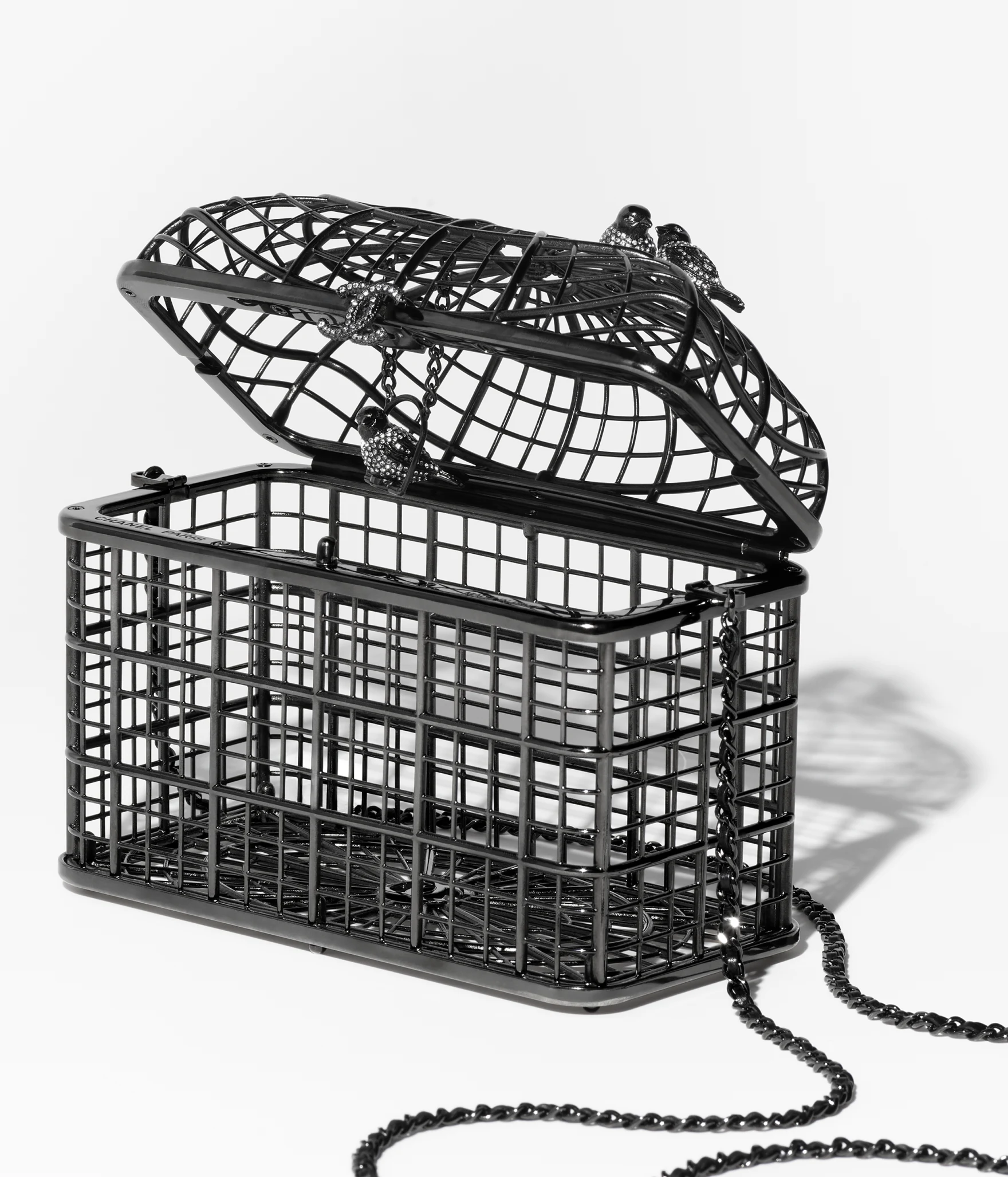 chanel birdcage Minaudière spring summer 2025 black